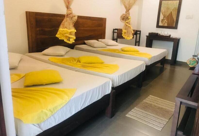 חדר אקונומי, Polonnaruwa Holiday Inn