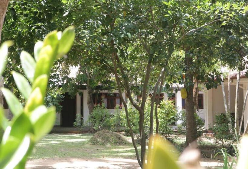 חדר אקונומי יחיד, Polonnaruwa Holiday Inn