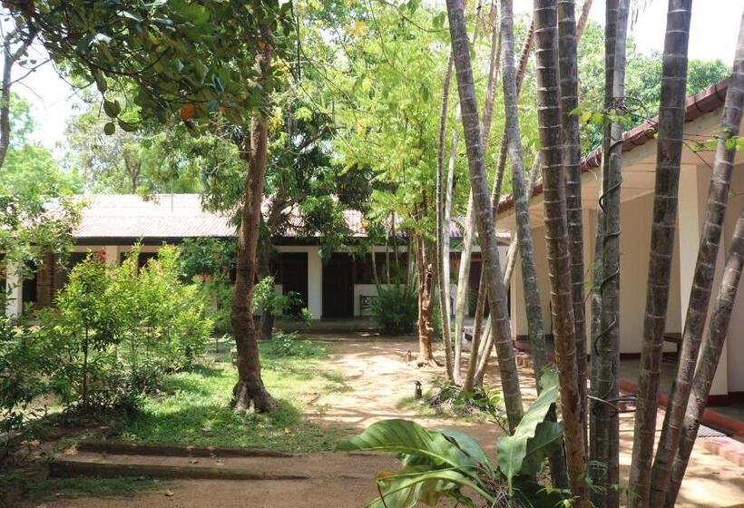 חדר אקונומי יחיד, Polonnaruwa Holiday Inn