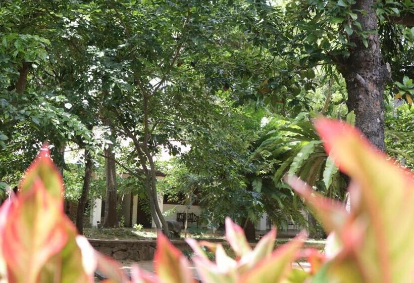 חדר סטנדרט לשלושה, Polonnaruwa Holiday Inn