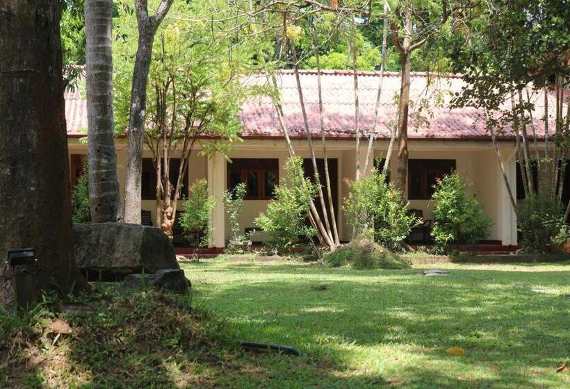 חדר אקונומי, Polonnaruwa Holiday Inn