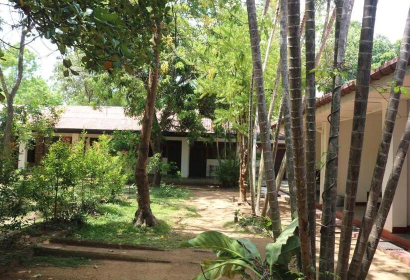 חדר אקונומי, Polonnaruwa Holiday Inn