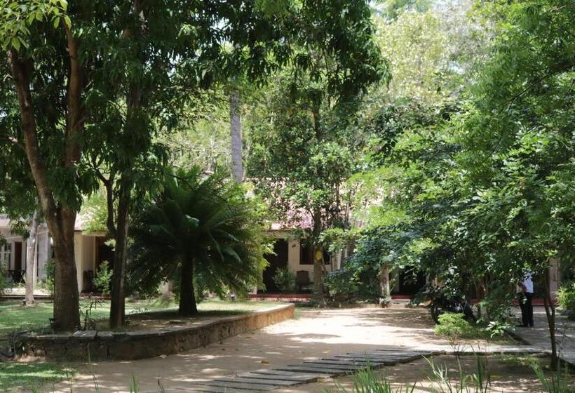 חדר אקונומי, Polonnaruwa Holiday Inn