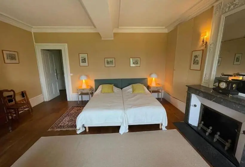 Standard-huone Näkymä, Château Dans Le Val De Loire