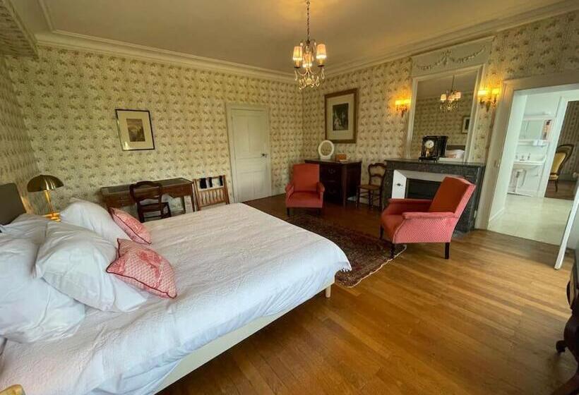 غرفة قياسية ذات إطلالة, Château Dans Le Val De Loire