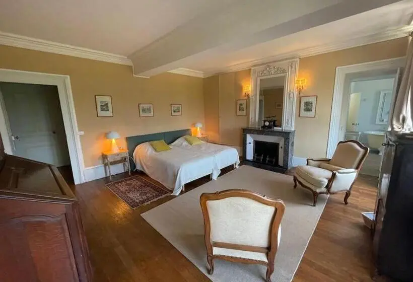 Standard-huone Näkymä, Château Dans Le Val De Loire