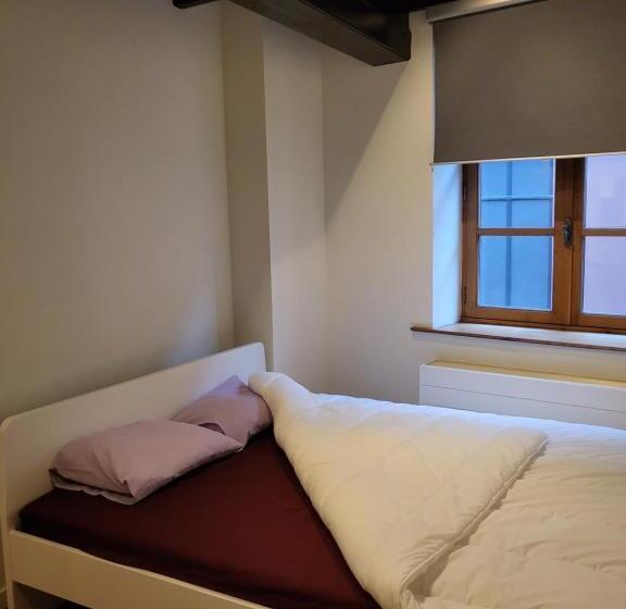 اتاق اکونومی, Viktoria Hostel