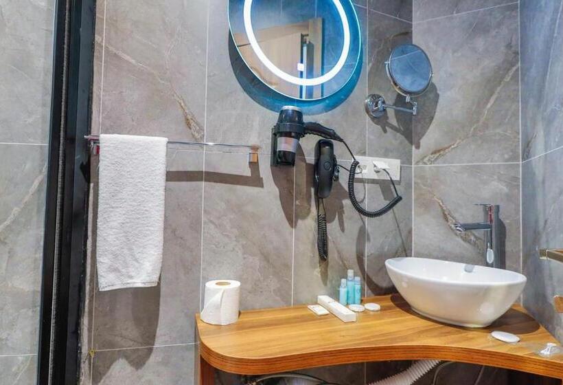 غرفة قياسية, Silver Inn Hotel & Spa