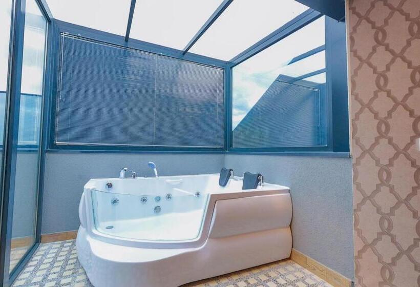 جناح جونيور مزوَّد بتراس, Silver Inn Hotel & Spa