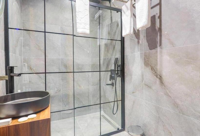 جناح ديلوكس, Silver Inn Hotel & Spa