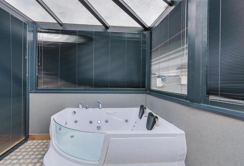 جناح ديلوكس, Silver Inn Hotel & Spa