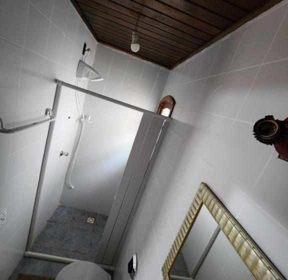 스탠다드 룸, Albatrozes