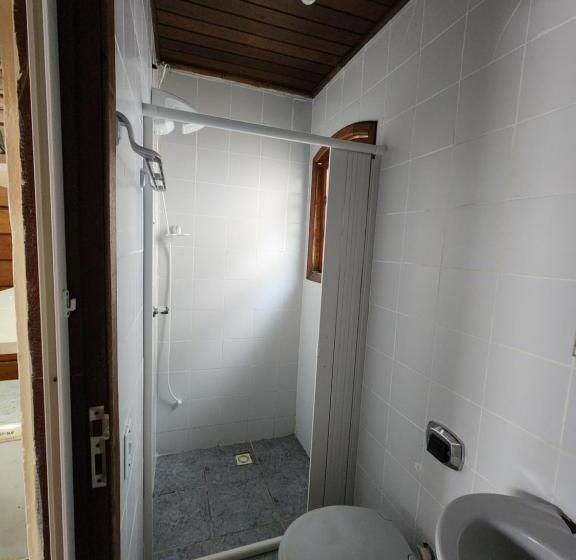 스탠다드 룸, Albatrozes