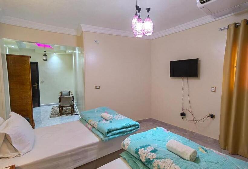 اتاق استاندارد, Grand Egyptian Museum View Inn