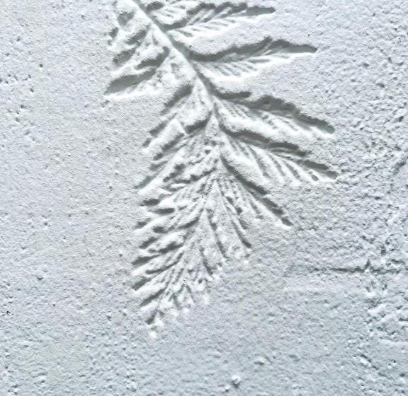 Номер Стандарт, Hôtel Candide