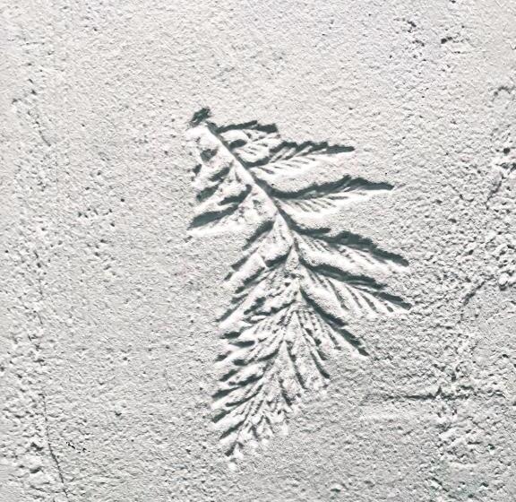 Номер Стандарт, Hôtel Candide