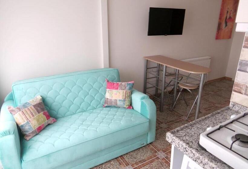 Апартаменты 1 Спальня с Террасой, Istanberry   Dream Apartments