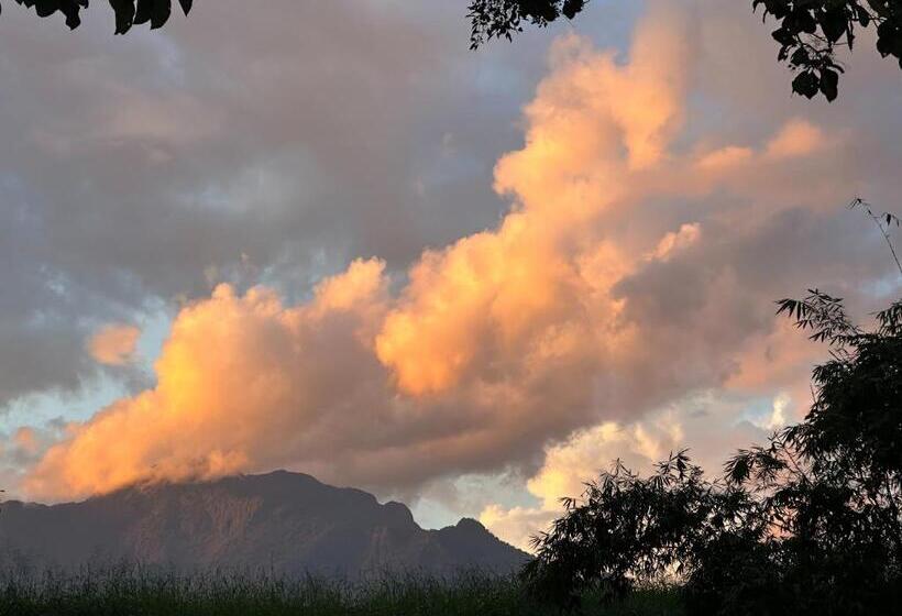 اتاق خانوادگی, Lhong Chiang Dao Glamping หลงเชียงดาว