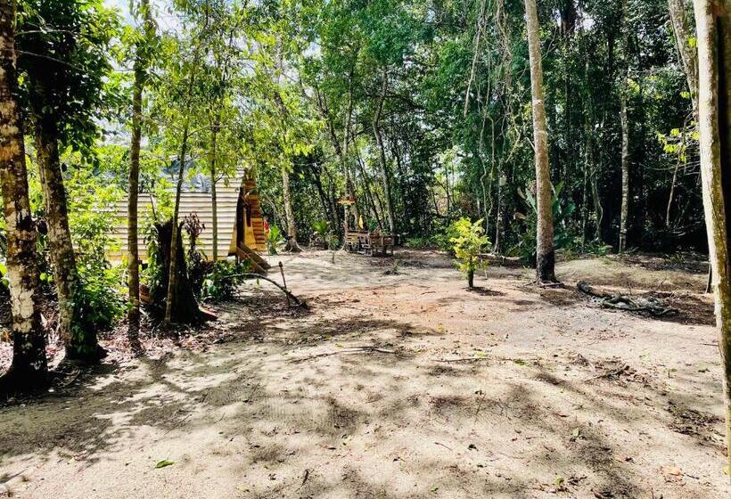 خانه 1 خوابه, Land Of Promise