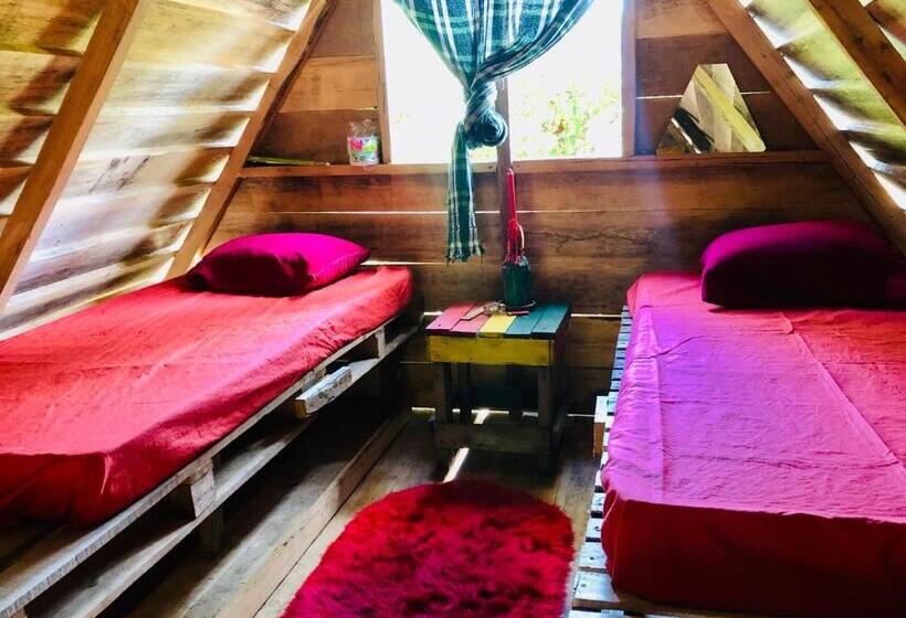 خانه 1 خوابه, Land Of Promise