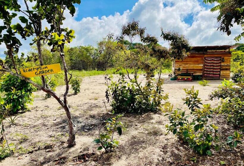 خانه 1 خوابه, Land Of Promise