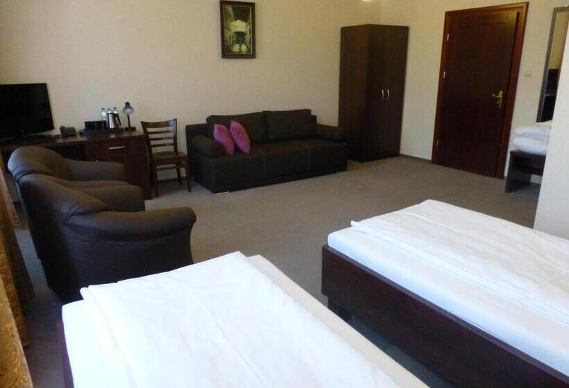 اتاق سوپریور سه تخته, Cesarski   Kaiserhof