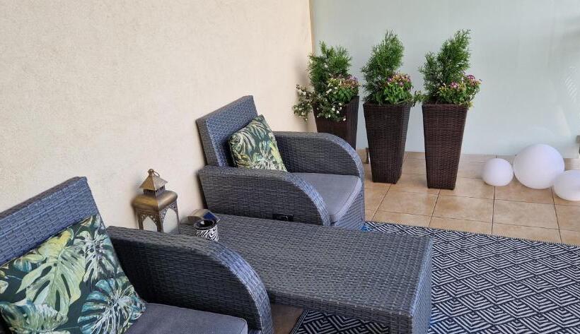 舒适型单人间, Cynamon