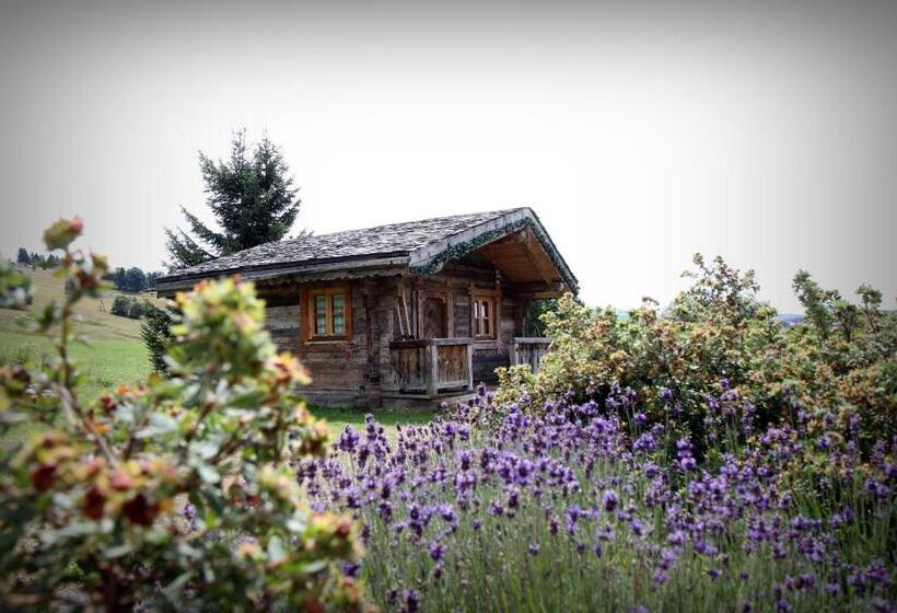 Шале 1 Спальня, Hôtel Le Manoir Des Montagnes