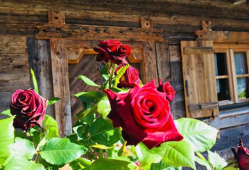 Шале 1 Спальня, Hôtel Le Manoir Des Montagnes