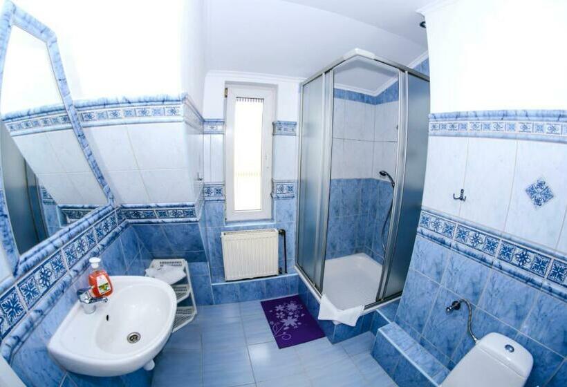 غرفة قياسية, Noclegi Europa