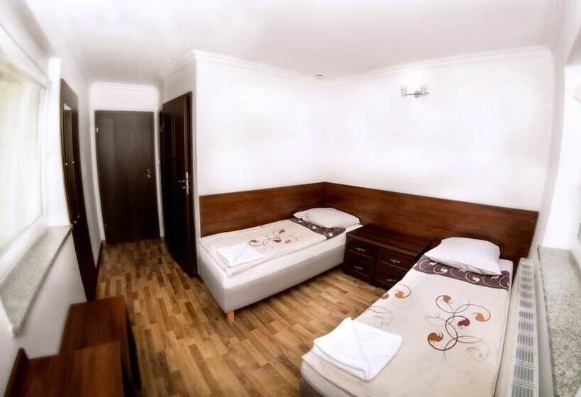 غرفة قياسية, Noclegi Europa