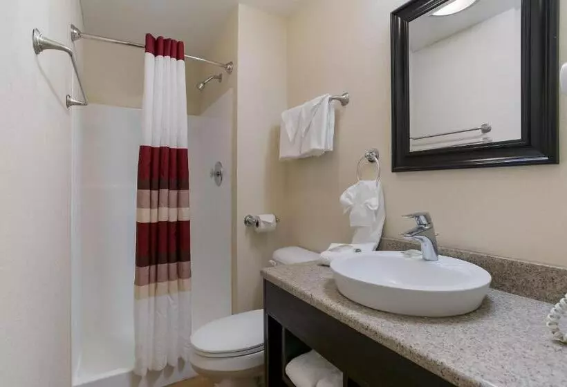 クイーンベッドのデラックスルーム, Red Roof Inn Hershey
