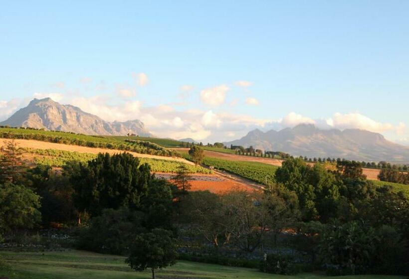 جناح مطلّ علي الجبل, Sugarbird Manor