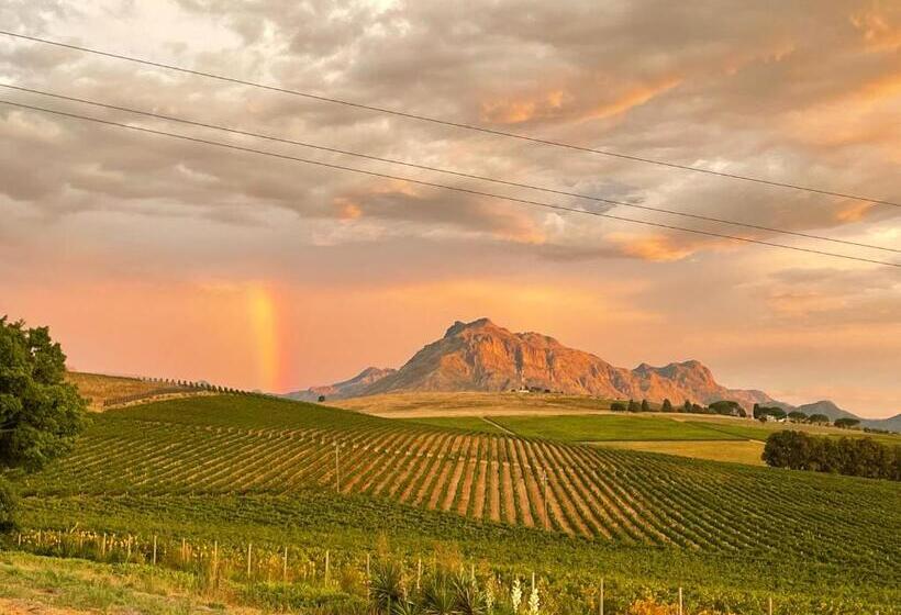 جناح مطلّ علي الجبل, Sugarbird Manor