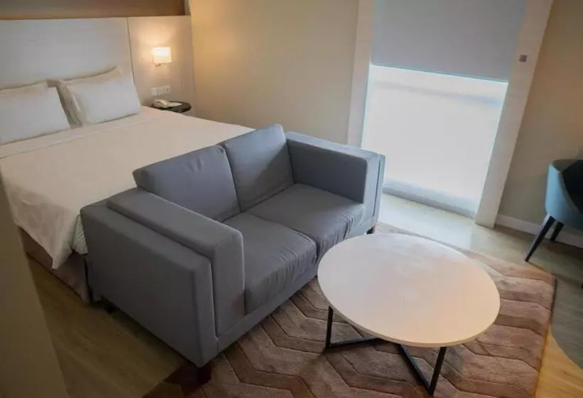 ジュニアスイート, Swissbelinn Saripetojo Solo