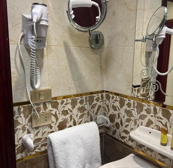 اتاق استاندارد یک نفره, Holiday Nile Cairo