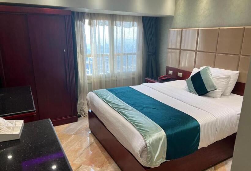 اتاق استاندارد یک نفره, Holiday Nile Cairo