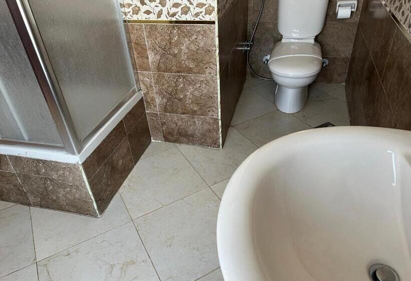 اتاق سوپریور با چشم‌انداز شهر, Holiday Nile Cairo