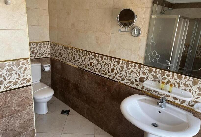 اتاق سوپریور با چشم‌انداز شهر, Holiday Nile Cairo