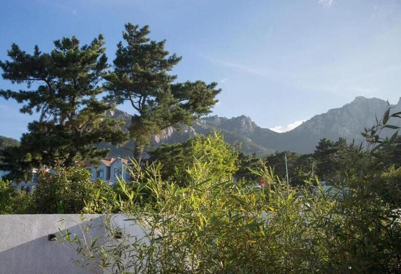 Люкс Вид на Море, Moya Homestay  Qingdao Laoshan Scenic Area Yangkou Store