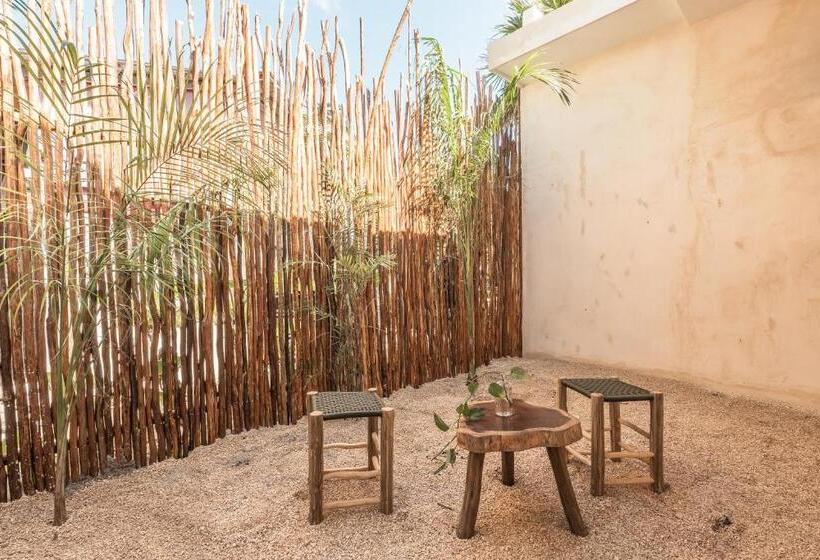 غرفة قياسية, Xcalak Paradise