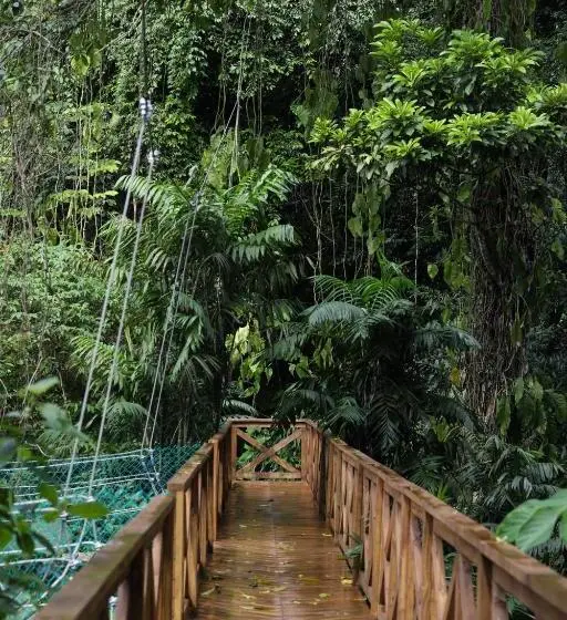 テラス付スイート, Jade Jungle Resort
