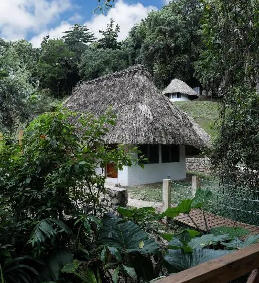 テラス付スイート, Jade Jungle Resort