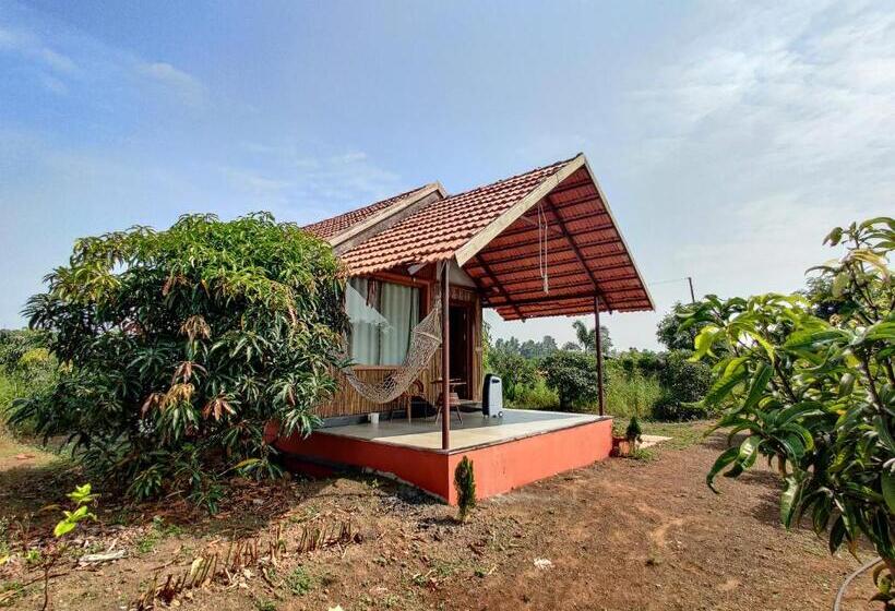 חדר אקונומי, Rivercrest Stays