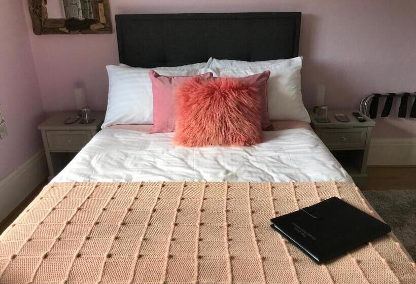 スーペリアールーム, The Drey