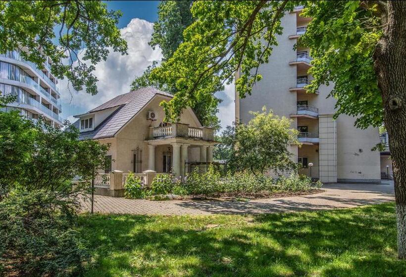 سوییت با چشمانداز دریا, біла акація