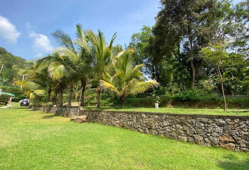 اتاق خانوادگی با چشمانداز کوه, Sobaway Resorts