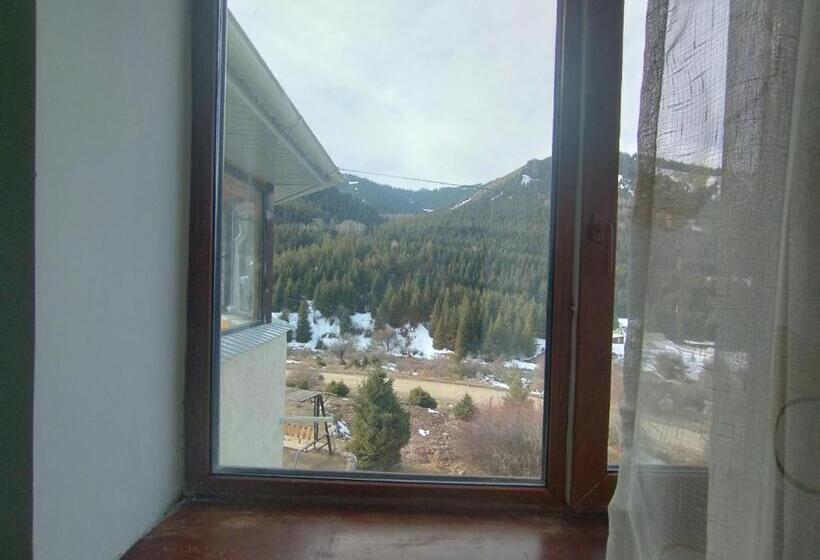 اتاق استاندارد با چشم‌انداز کوهستان, жайсан