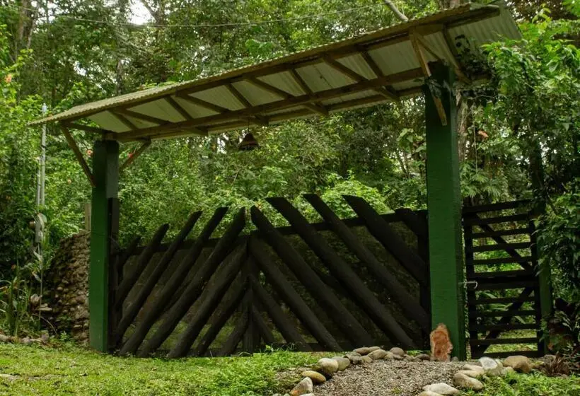 スタンダードルーム, Casa Raiz