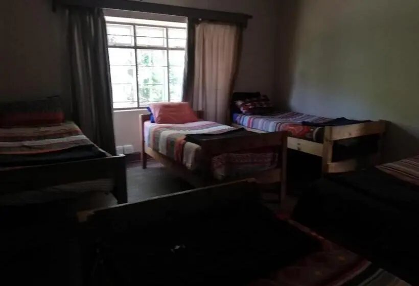 ルームシェアのワンベッド, Pmb Backpackers Lodge